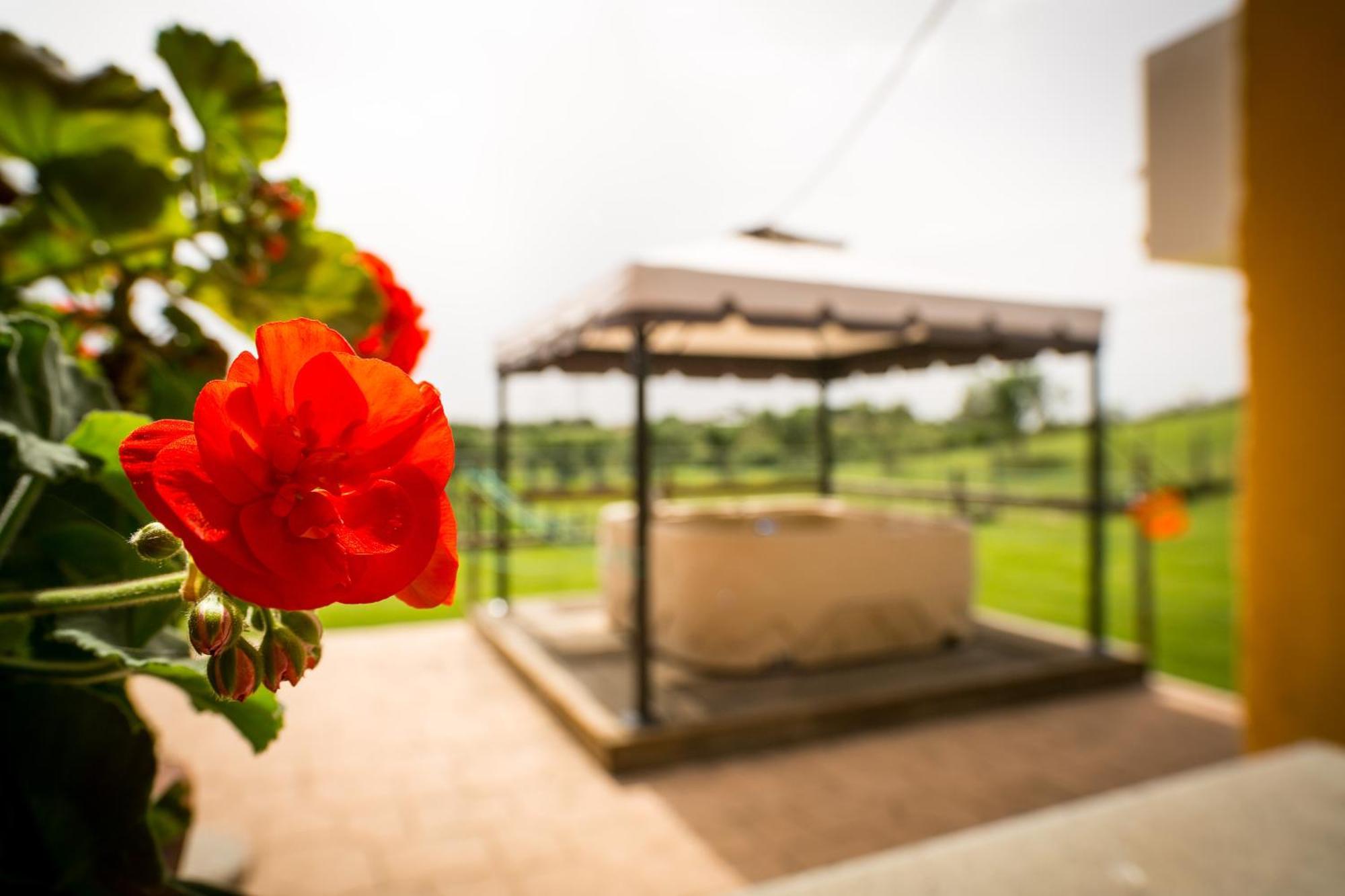 בראצ'יאנו Agriturismo L.B.Stud חדר תמונה