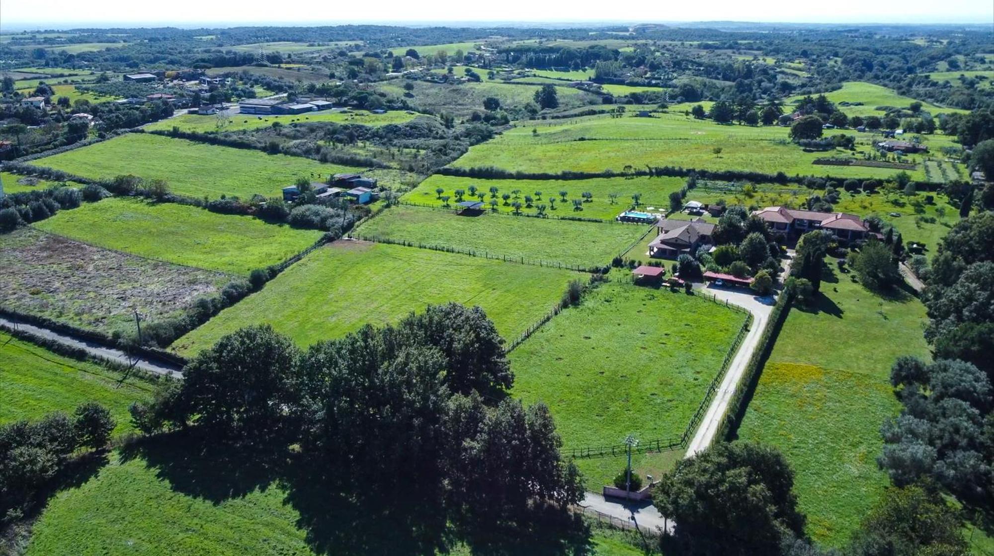 בראצ'יאנו Agriturismo L.B.Stud מראה חיצוני תמונה